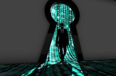 东营林森网络公司 一站式网站建设、SEO优化与信息安全软件开发服务