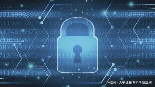 网络与信息安全软件开发 就业前景与职业选择指南